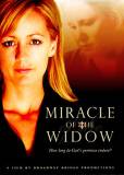Miracle of the Widow cover